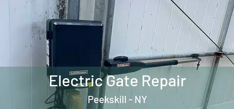 Electric Gate Repair Peekskill - NY