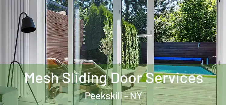 Mesh Sliding Door Services Peekskill - NY